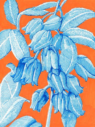 Leuchtend blaue Pflanzenmotive von Katie O'Shea