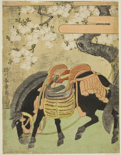 Schwarzes Pferd unter einem blühenden Kirschbaum angebunden von Katsukawa Shunsho
