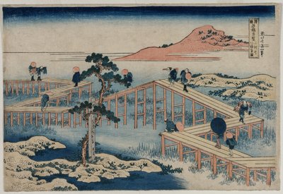Ein altes Bild der Acht-Teil-Brücke in der Provinz Mikawa (aus der Serie Neugierige Ansichten berühmter Brücken in den Provinzen) von Katsushika Hokusai
