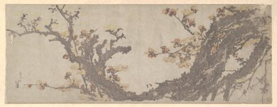Alter Pflaumenbaum in Blüte von Katsushika Hokusai