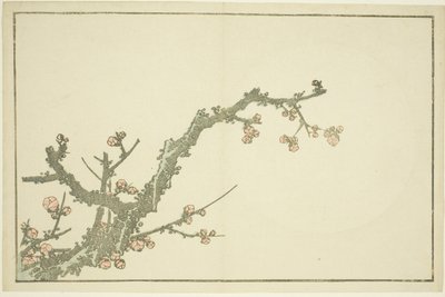 Blühender Pflaumenbaum, aus Das Bilderbuch der realistischen Malereien von Hokusai von Katsushika Hokusai
