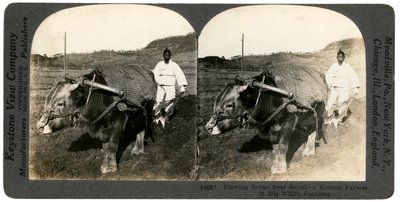 Landwirtschaft in der Nähe von Seoul, Südkorea, 1900er Jahre von Keystone View Company
