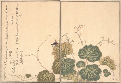 Regenwurm Mimizu, Grille Korogi..., 1788 von Kitagawa Utamaro