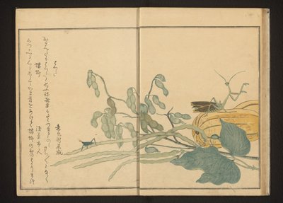 Heuschrecke auf Bohne und Gottesanbeterin auf Melone von Kitagawa Utamaro