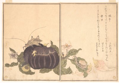 Landschnecke (Katatsumuri); Riesen-Laubheuschrecke (Kutsuwamushi), aus dem Bilderbuch der kriechenden Geschöpfe (Ehon mushi erami) von Kitagawa Utamaro