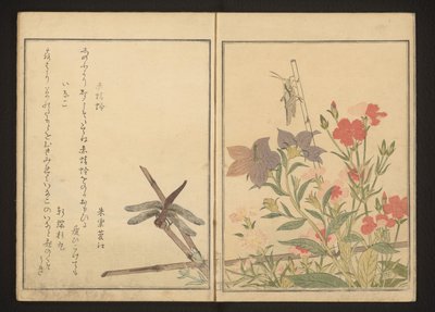 Rote Libelle und Heuschrecke bei Nelken von Kitagawa Utamaro