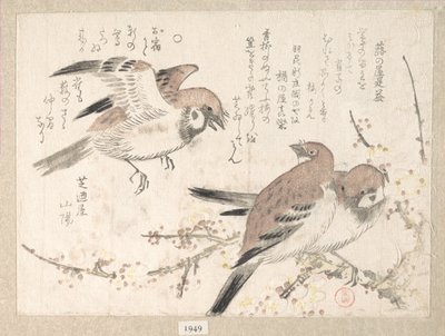 Sperlinge und Pflaumenblüten von Kubo Shunman