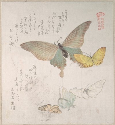 Verschiedene Motten und Schmetterlinge von Kubo Shunman
