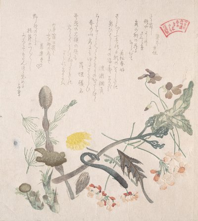 Veilchen, Primeln und andere Frühlingsblumen, 19. Jahrhundert von Kubo Shunman