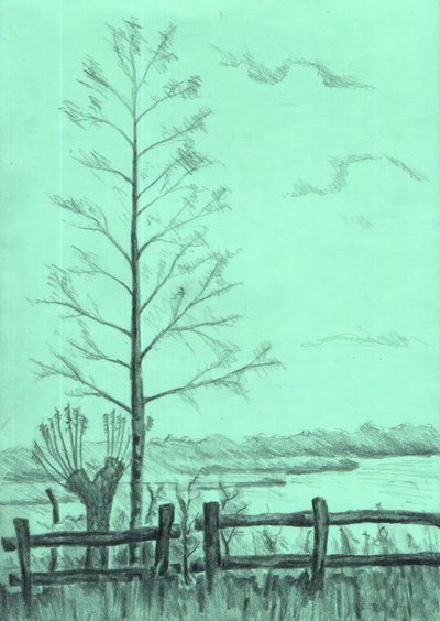 Kahle Baumlandschaft von Kulik