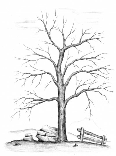 Kahler Winterbaum von Kulik