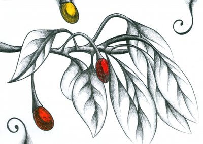 Bunte Beerenzweige von Kulik