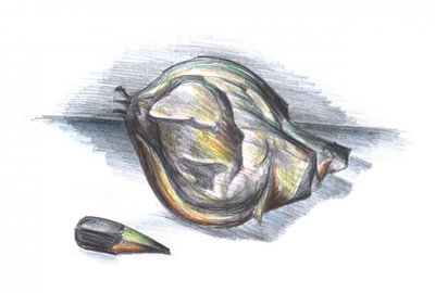Zerknitterte Blattstudie von Kulik