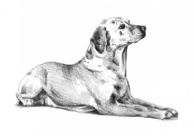 Liegender Gefleckter Hund von Kulik