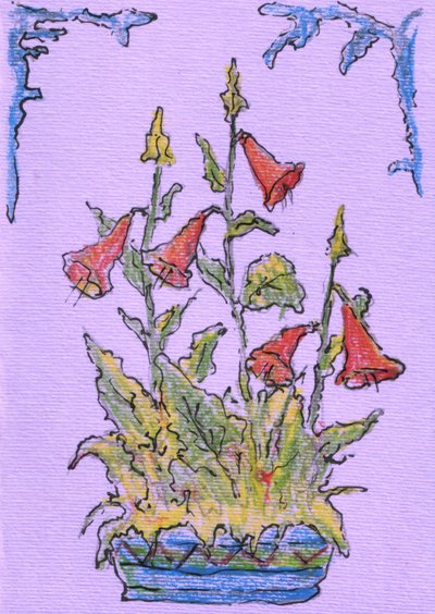 Topf Glockenblumen von Kulik