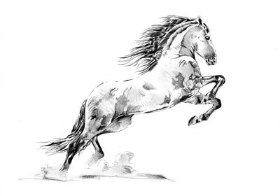 Steigendes Appaloosa-Pferd von Kulik