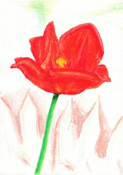 Rote Wachsmalstiftblume von Kulik