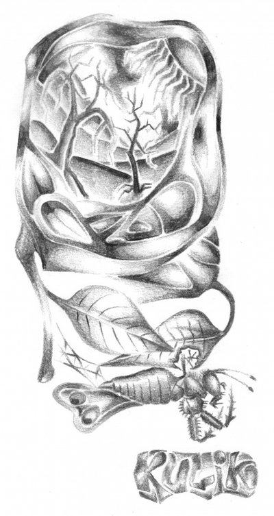 Surrealer Waldinsekt von Kulik