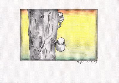Baumsaftsammlung bei Sonnenuntergang von Kulik