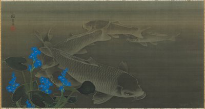 Karpfen, Edo-Zeit, frühes 19. Jahrhundert von Kuroda Toko