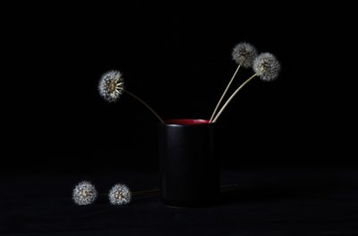 Elegante Löwenzahn Vase von LM Meng