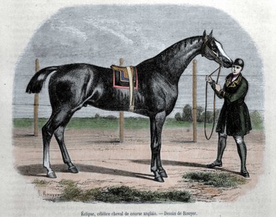 Das englische Rennpferd Eclipse. Illustration von Rouyer. von L. (after) Rouyer