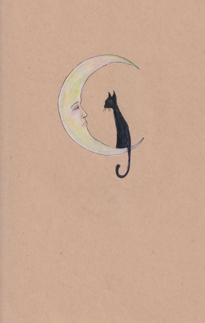 Mateo und der Mond von Laurie Michaels