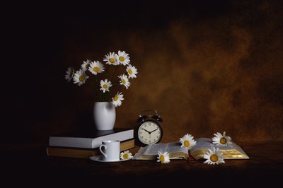 Gänseblümchen Bücher Morgenfrieden von Leah Xu