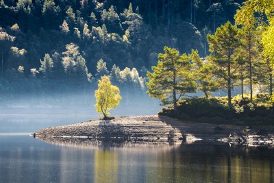 Rast des Druiden von Lee Cooper