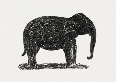 Elefant (ca. 1891–1941) von Leo Gestel