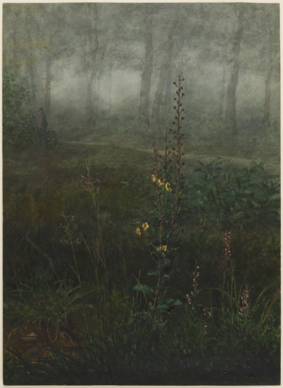 Graue Königskerze im Unterholz von Léon Bonvin