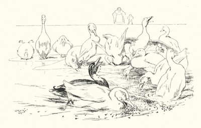 Dame, warum sterben deine Enten von Leonard Leslie Brooke