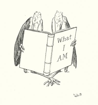 In Johnny Crows Garten von Leonard Leslie Brooke