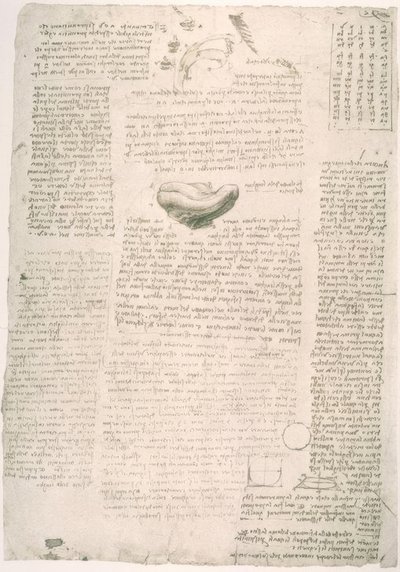 Anatomiestudien von Leonardo da Vinci