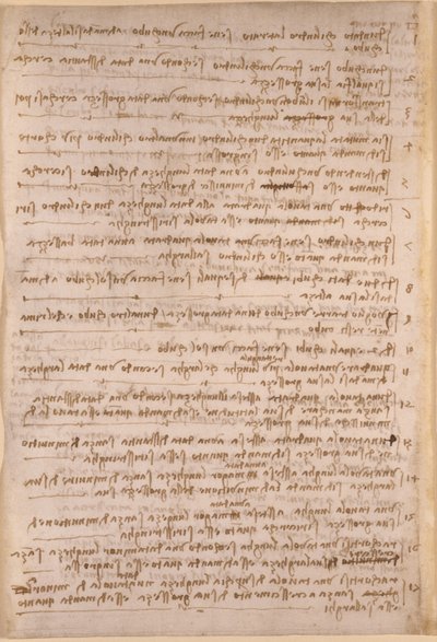 Leonardo da Vincis Notizen aus 