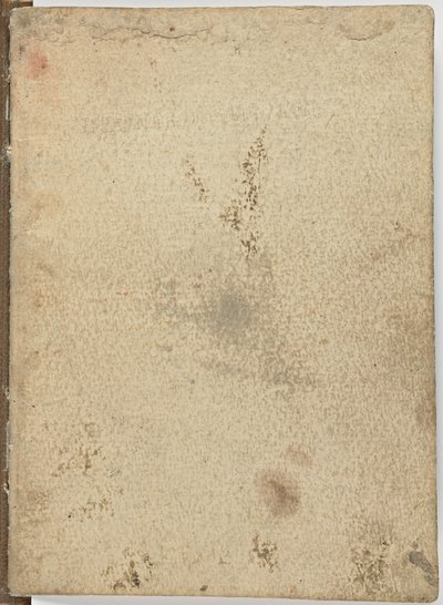 Kodex über den Flug der Vögel, ca. 1505-06, Papiermanuskript, cc. 18, Umschlag I von Leonardo da Vinci