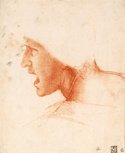 Studie eines Soldatenkopfes für Die Schlacht von Anghiari von Leonardo da Vinci