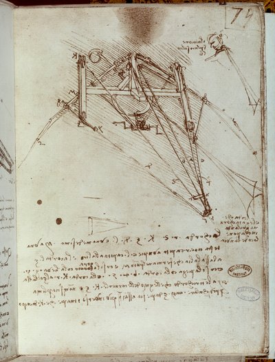 Zeichnung einer Flugmaschine. Manuskript von Leonardo da Vinci von Leonardo da Vinci
