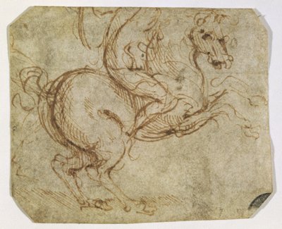 Pferd und Reiter von Leonardo da Vinci