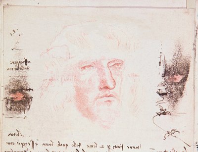 Notizen zu Richtungsänderungen im Flug, Manuskriptseite aus Codici Rari III 35.2, fol. 10v aus Abhandlung über den Vogelflug, 1505 von Leonardo da Vinci