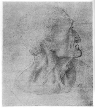 Studie von Judas für Das letzte Abendmahl, ca. 1495 von Leonardo da Vinci