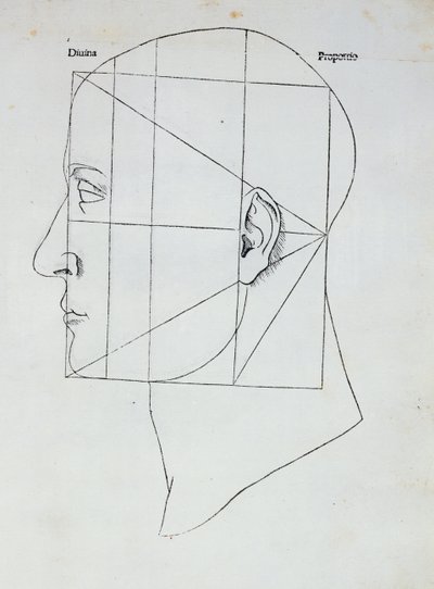 Der menschliche Kopf, Illustration für 