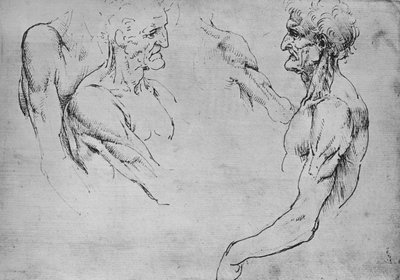 Zwei Studien des oberen Teils eines alten Mannes und zwei Studien von Armen, ca. 1480 von Leonardo da Vinci