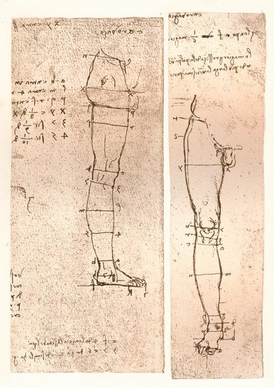 Zwei Zeichnungen zur Theorie der Proportionen der menschlichen Figur, 1883 von Leonardo da Vinci