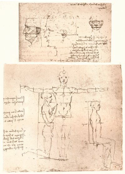 Zwei Zeichnungen zur Theorie der Proportionen der menschlichen Figur von Leonardo da Vinci