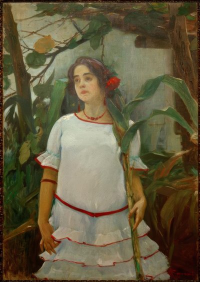 Mädchen mit Zuckerrohr von Leopoldo Romañach