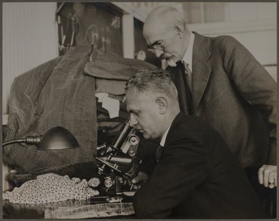 Forschung von Lewis Wickes Hine