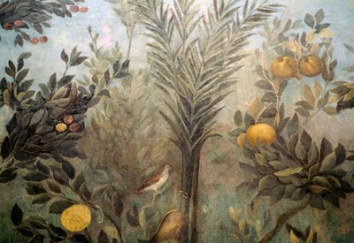 Granatapfelbaum, Detail eines Freskos, das einen Garten mit Obstbäumen und Vögeln darstellt, aus dem Haus der Livia auf dem Palatin, Rom, Italien. Römische Zivilisation von Unbekannt Unbekannt