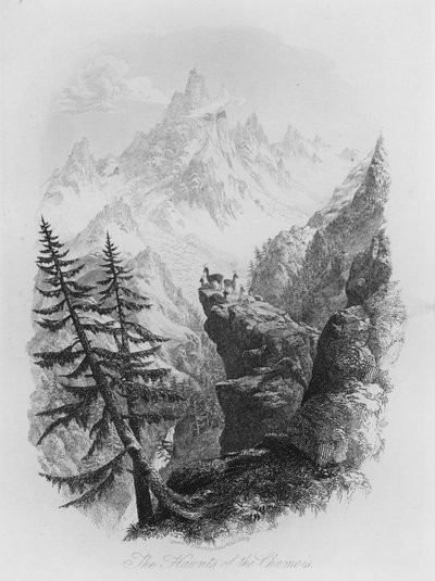 Die Aufenthaltsorte der Gämsen (Gravur) von Lieutenant Colonel (after) Batty