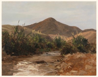 Zeichnung, In der Nähe von Jericho, Wady Kilt, 20. März 1876 von Lockwood de Forest